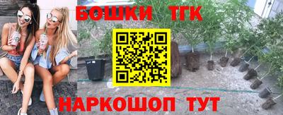 mdpv Лесосибирск