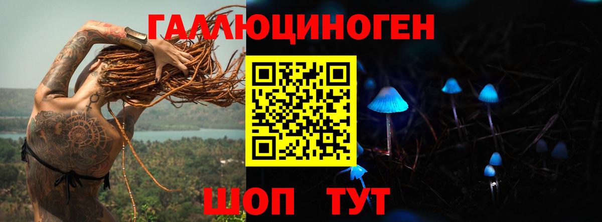 Псилоцибиновые грибы мицелий Бугуруслан